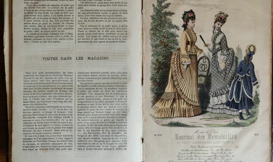 Journal des demoiselles 1875 et 1888
